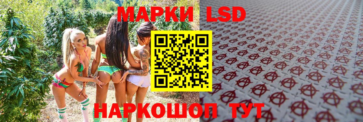 Губкинский  Марки N-bome 1,5мг  Вход с VPN 