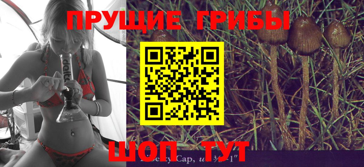 Галлюциногенные грибы GOLDEN TEACHER  Вход с VPN  дарнет шоп  Губкинский 