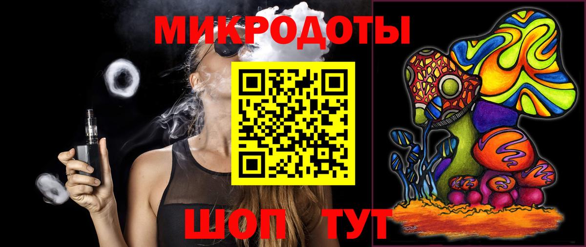 Галлюциногенные грибы Psilocybe Губкинский